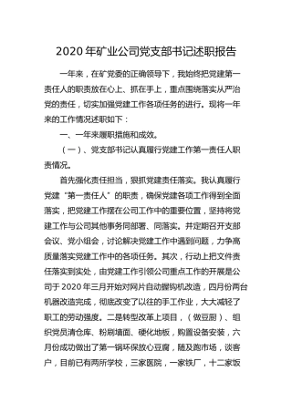 2020年公司党支部书记述职报告2400字