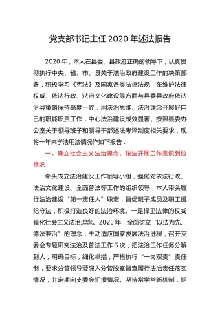 2020年个人述法报告2600字