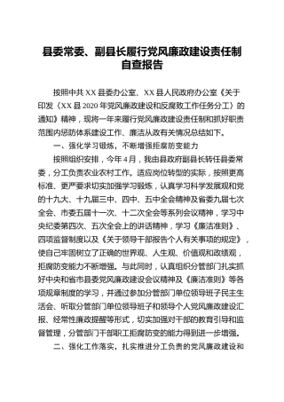 2020年度履行党风廉政建设责任制自查报告（副县）