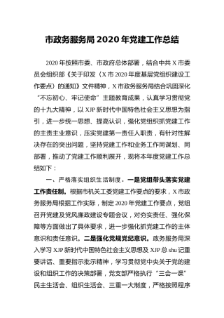 2020年党建工作总结（政务服务5000字）