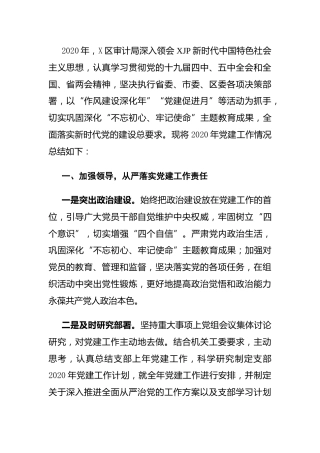 2020年党建工作总结（审计5700字）
