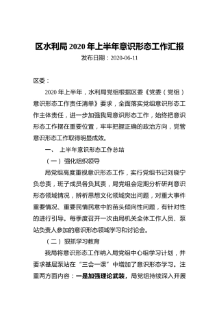 区水利局2020年上半年意识形态工作汇报