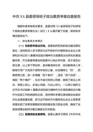 领导班子政治素质考察自查报告4600字