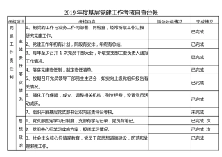 基层党建工作自查台账