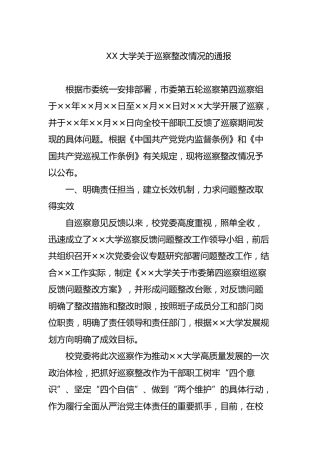 关于巡察整改情况的通报（学校9100字）