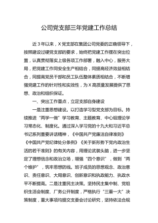 公司党支部三年党建工作总结4100字
