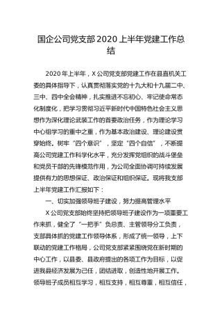 公司党支部2020上半年党建工作总结2篇