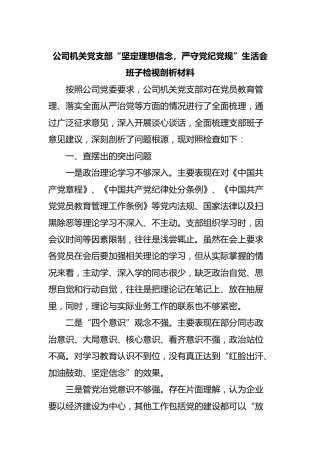 公司党支部“坚定理想信念，严守党纪党规”生活会班子检视剖析材料
