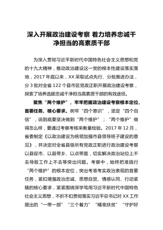 工作报告：深入开展政治建设考察 着力培养忠诚干净担当的高素质干部
