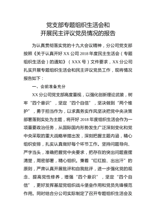 党支部专题组织生活会和开展民主评议党员情况的报告（3300字）