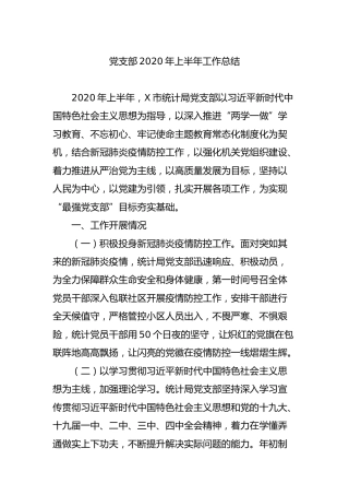 党支部2020年上半年工作总结（统计）