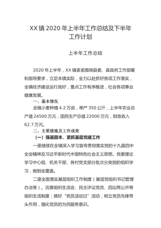 2020年乡镇上半年工作总结和下半年工作计划7400字