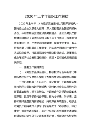 2020年上半年组织工作总结5800字