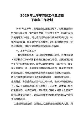 2020年上半年党建工作总结和下半年工作计划2400字