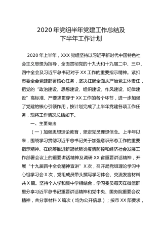 2020年党组半年党建工作总结及下半年工作计划3200字