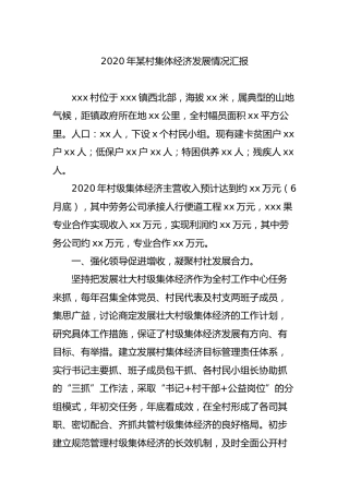 2020年村集体经济发展情况汇报