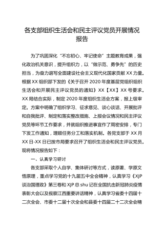 支部组织生活会和民主评议党员开展情况报告1600字