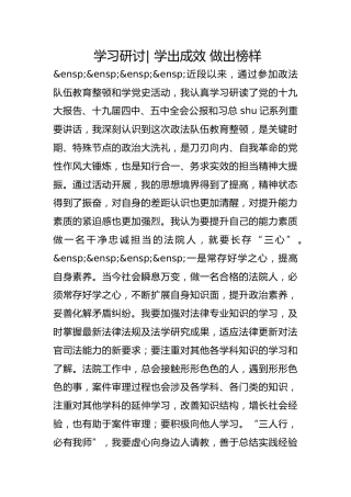 政法队伍教育整顿学习研讨- 学出成效 做出榜样