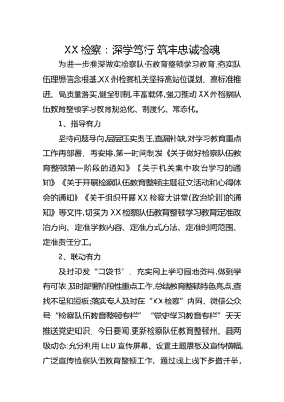 政法队伍教育整顿经验总结：深学笃行 筑牢忠诚检魂
