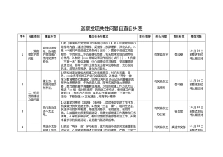 巡察发现共性问题自查自纠表