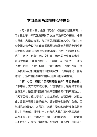 学习2021年全国两会精神心得体会_11