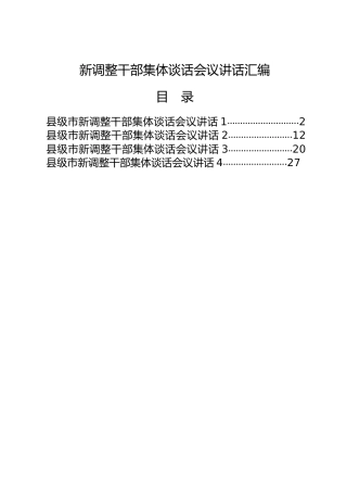 新调整干部集体谈话会议讲话4篇