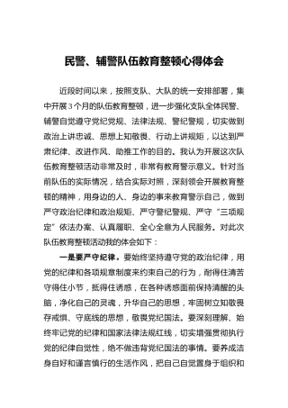 政法队伍教育整顿心得体会（公安）