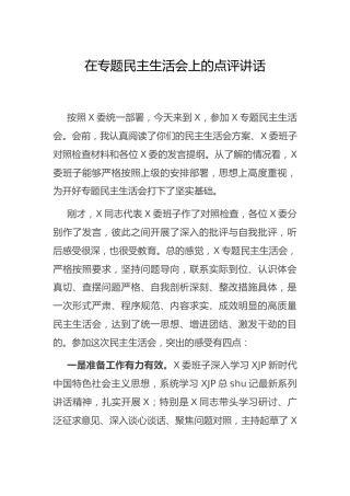 在专题民主生活会上的点评讲话2700字