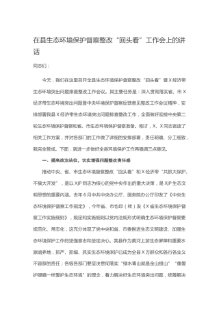 在生态环境保护督察整改“回头看”工作会上的讲话
