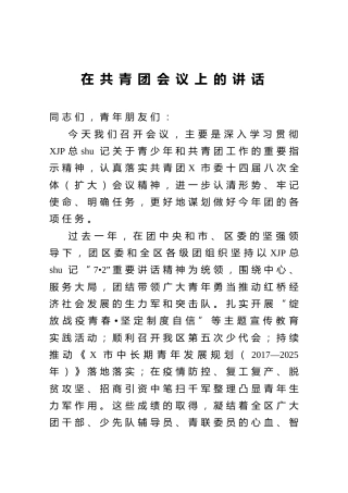 在共青团会议上的讲话3000字