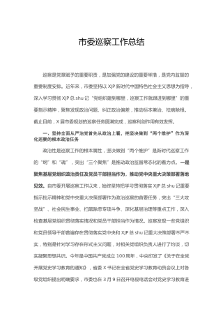 巡察组巡察工作总结3000字