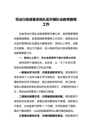 司法行政戒毒系统开展队伍政法队伍教育整顿工作总结