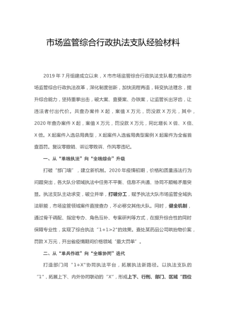 市场监管综合行政执法支队工作经验材料