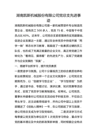 湖南凯斯机械股份有限公司党总支先进事迹