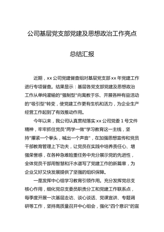 公司党支部党建及思想政治工作亮点总结汇报