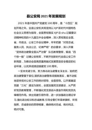 公安系统2021年工作发展规划