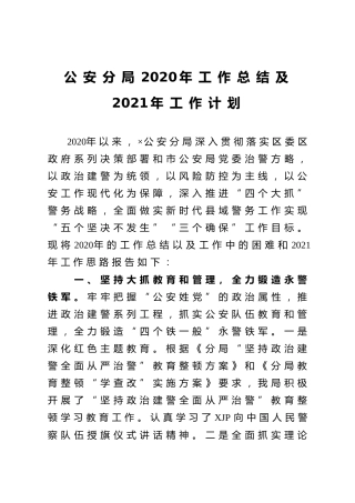 公安系统2020年工作总结及2021年工作计划2400字