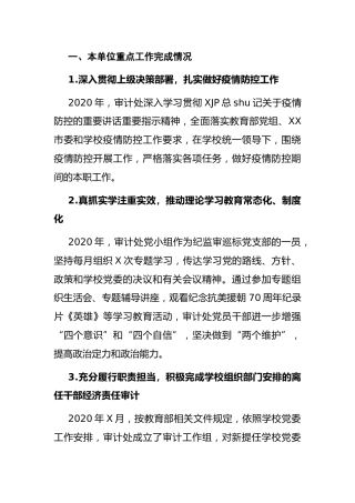 高校2020年审计工作总结（学校）
