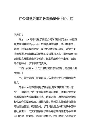 党史学习教育动员会上的讲话（公司4200字）