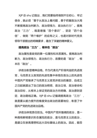 党课讲稿：如何牢牢把握政治“三力”的精神要义