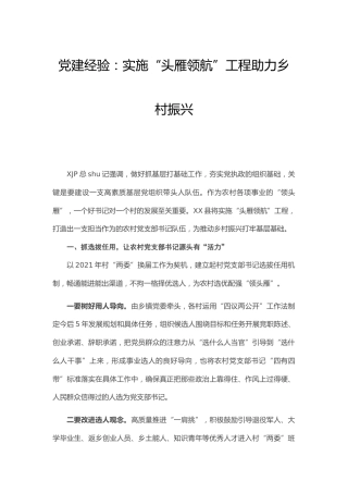 党建经验：头雁领航助力乡村振兴