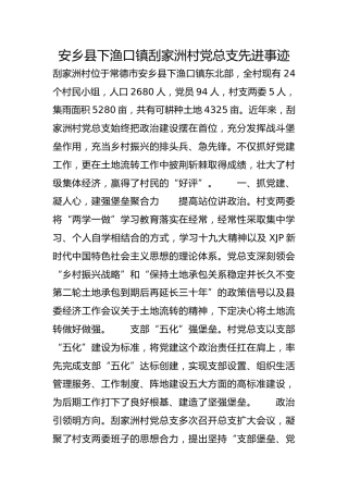 安乡县下渔口镇刮家洲村党总支先进事迹
