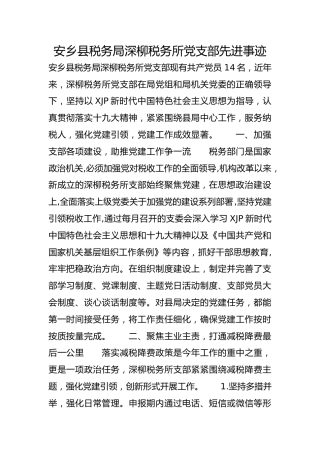 安乡县税务局深柳税务所党支部先进事迹