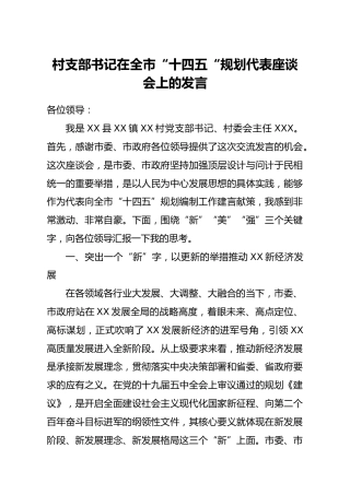 村支部书记在“十四五“规划代表座谈会上的发言