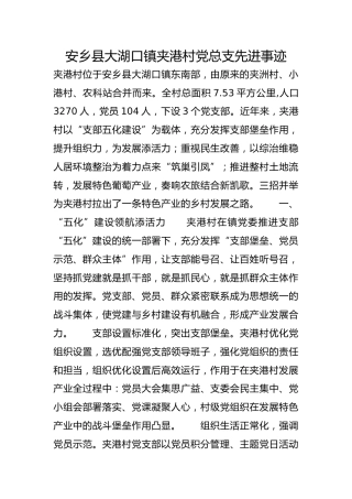 安乡县大湖口镇夹港村党总支先进事迹