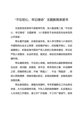 主题教育公开承诺书