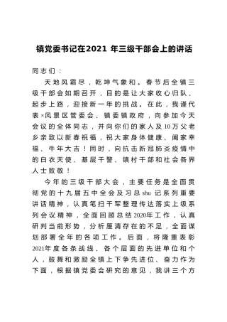 乡镇书记在2021年三级干部会上的讲话