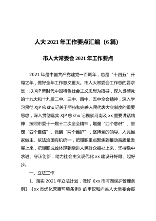 人大2021年工作要点6篇