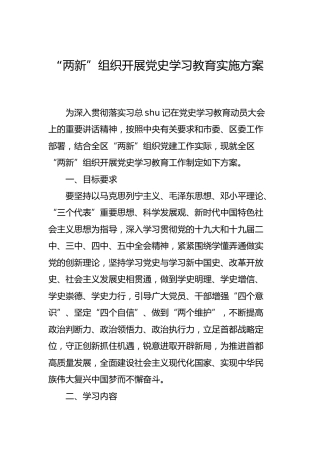 “两新”组织开展党史学习教育实施方案3300字
