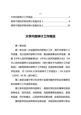 （内审）经济责任审计实施办法细则3篇